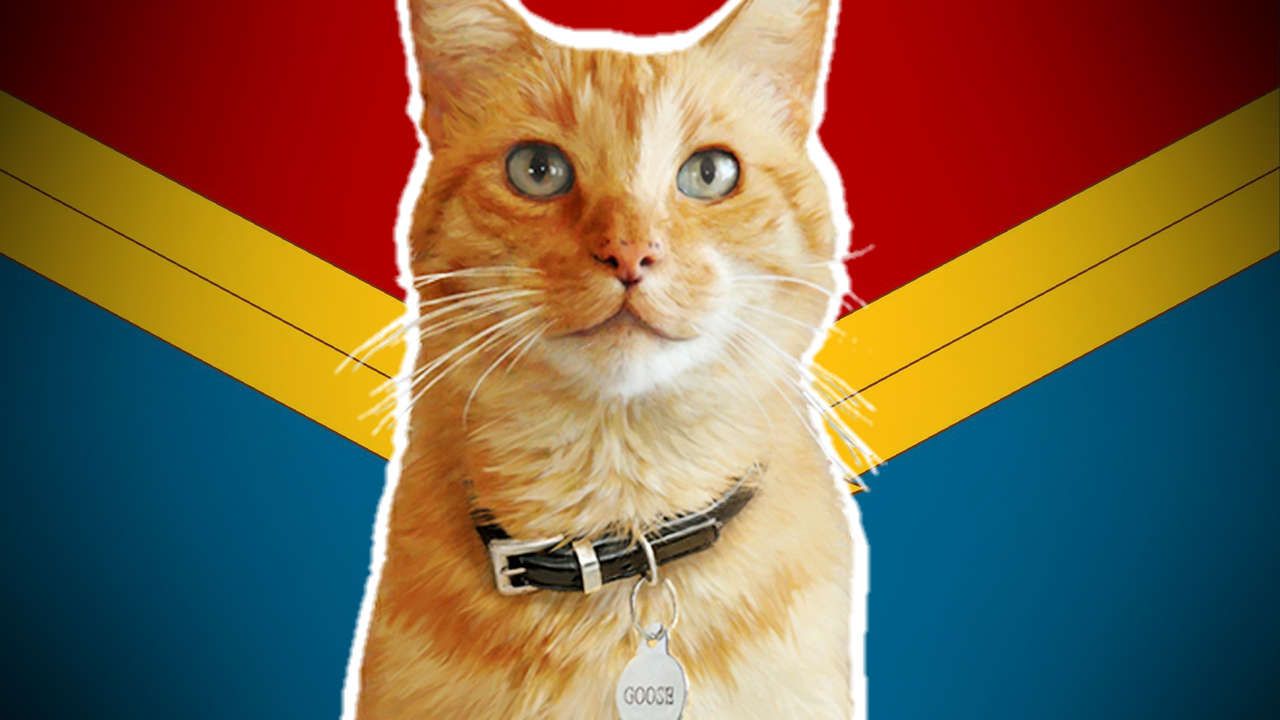 Captain Marvel: Goose The Cat's Comic Book Origins (Chewie)