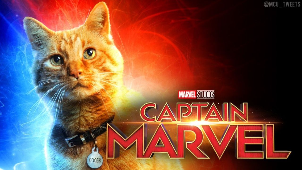 4K wallpaper: Goose Captain Marvel HD Wallpaper