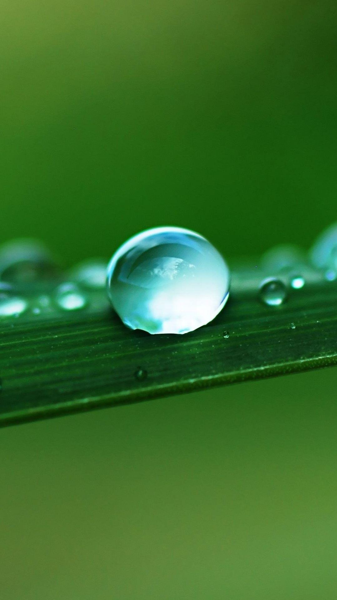 Water Drop Macro Leaf iPhone 6 Plus HD Wallpaper HD