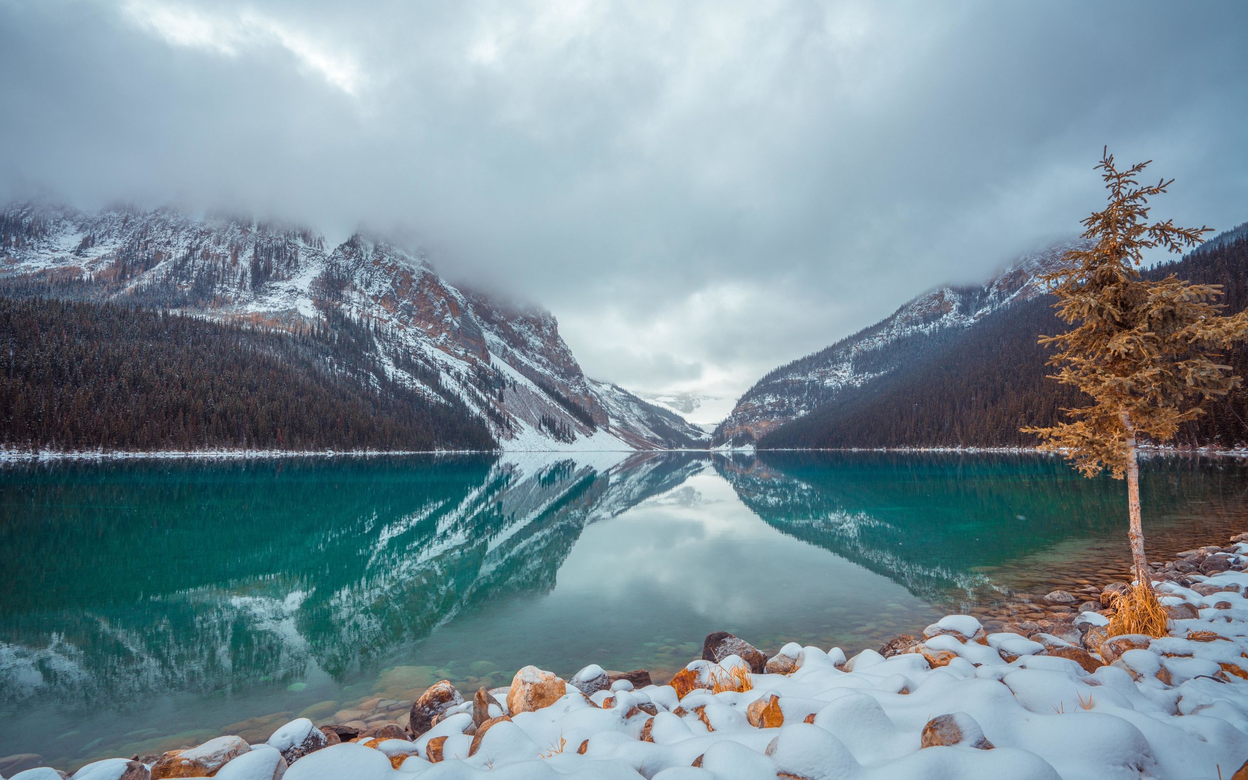Lake Louise, Winter, Mountains, Nature, Trees Wallpaper & Background Image