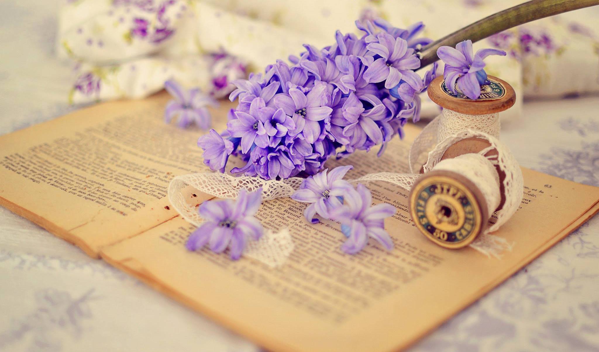 with love, flowers, Book, nature, petals, still life wallpaper