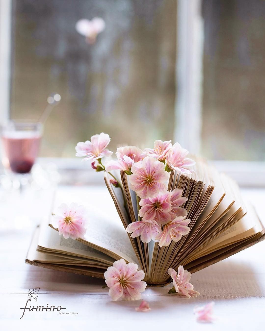 Wallpaper. Book flowers, Book wallpaper, Photography wallpaper