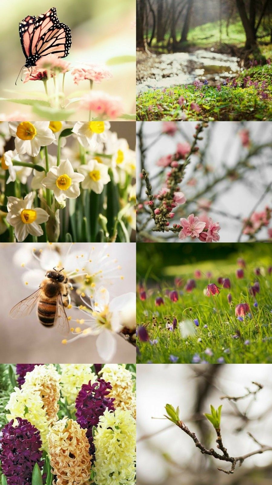 20 Selected spring wallpaper desktop aesthetic collage You Can Download ...