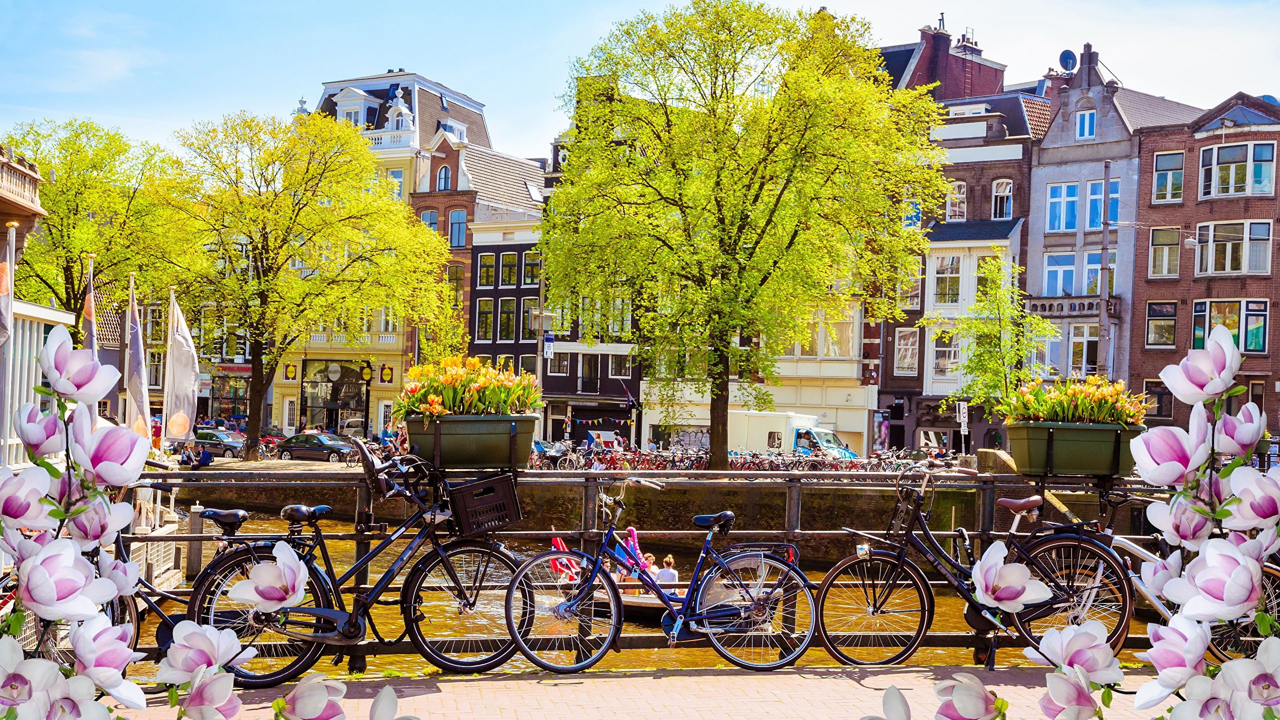 image Amsterdam Netherlands bicycles Spring Cities 2560x1440