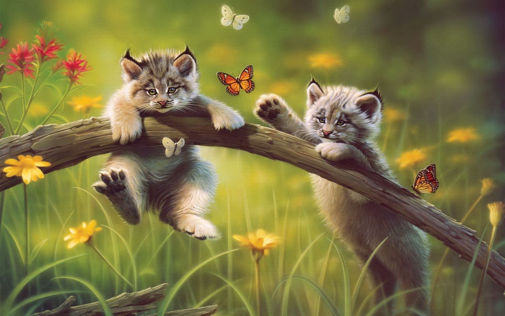 Wallpaper kitten, grass, cat, drawing, butterfly, branch, flower desktop wallpaper Other GoodWP.com