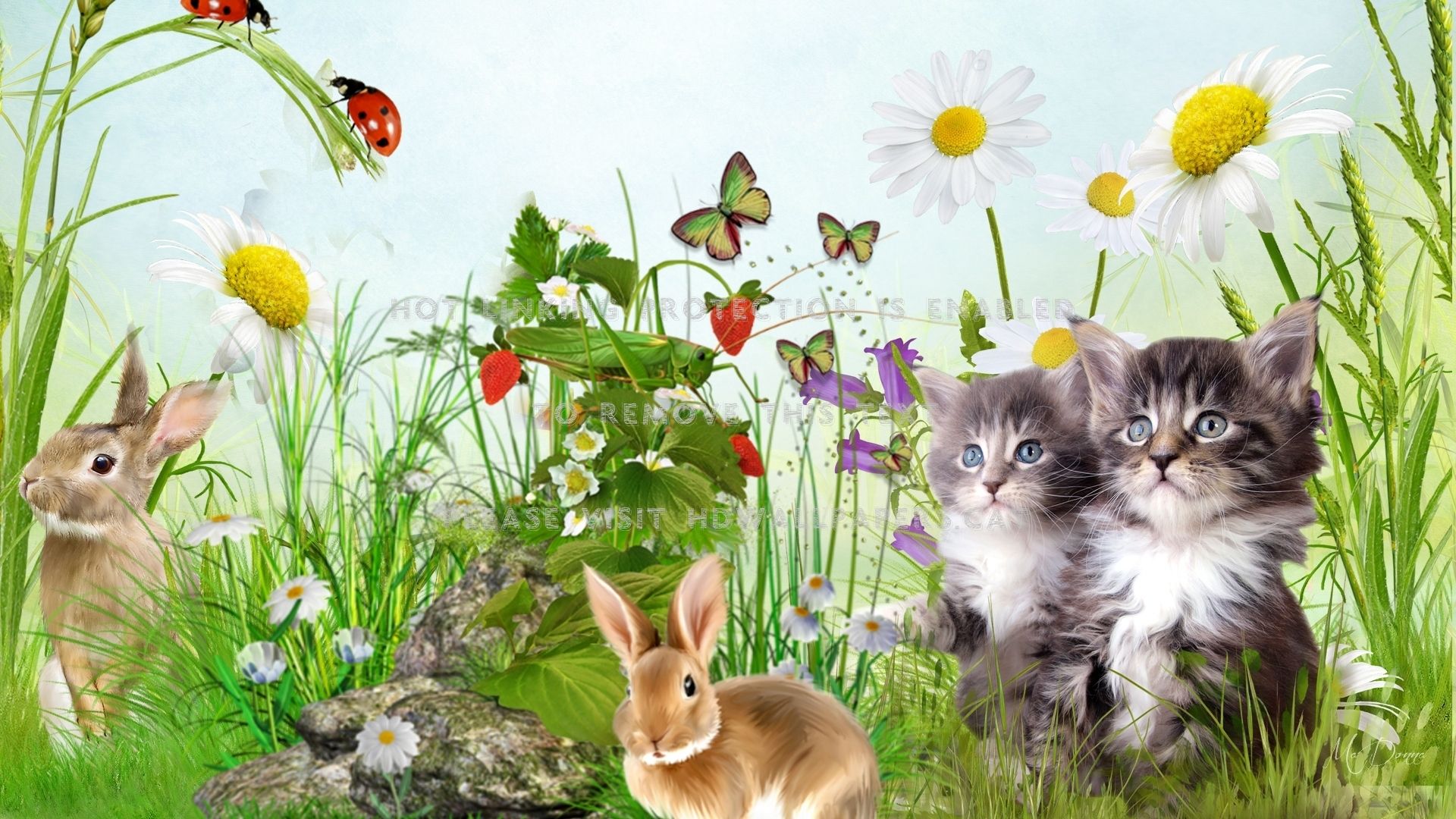 kittens and bunnies spring summer rabbit