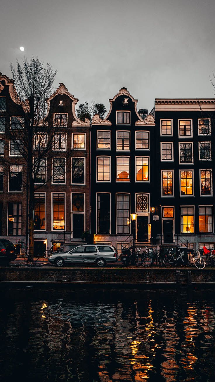 Amsterdam iPhone Wallpaper. Tulips & Travels
