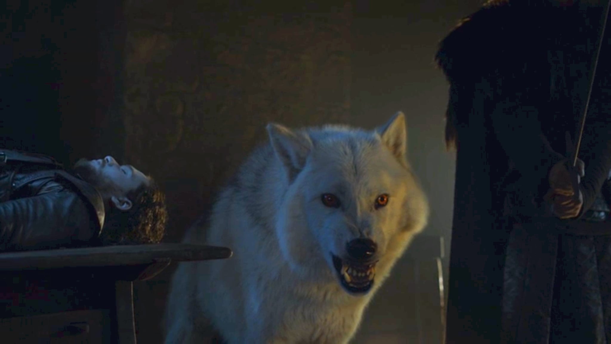 Did Jon Snow Warg Into His Wolf Ghost on Game of Thrones?