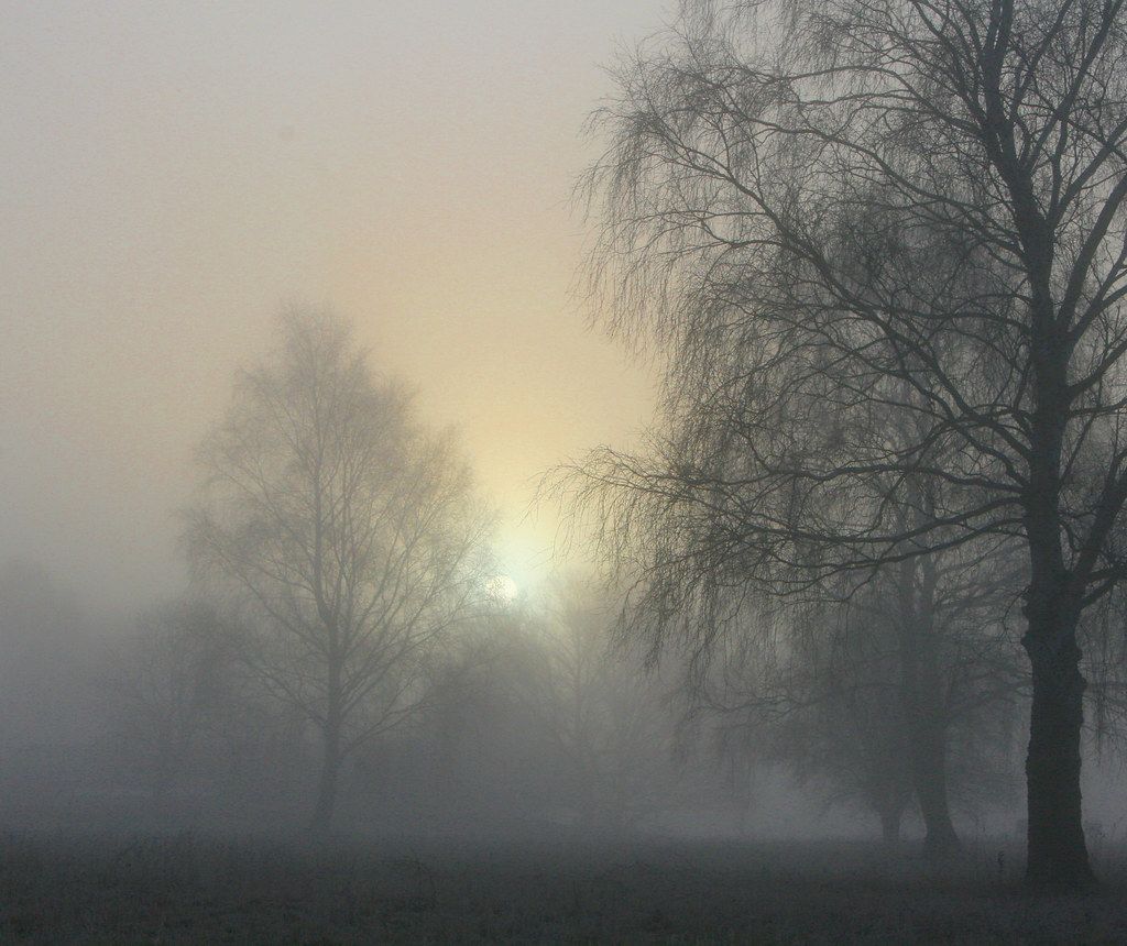 A beautiful foggy morning. Went for a walk at 6 o'clock