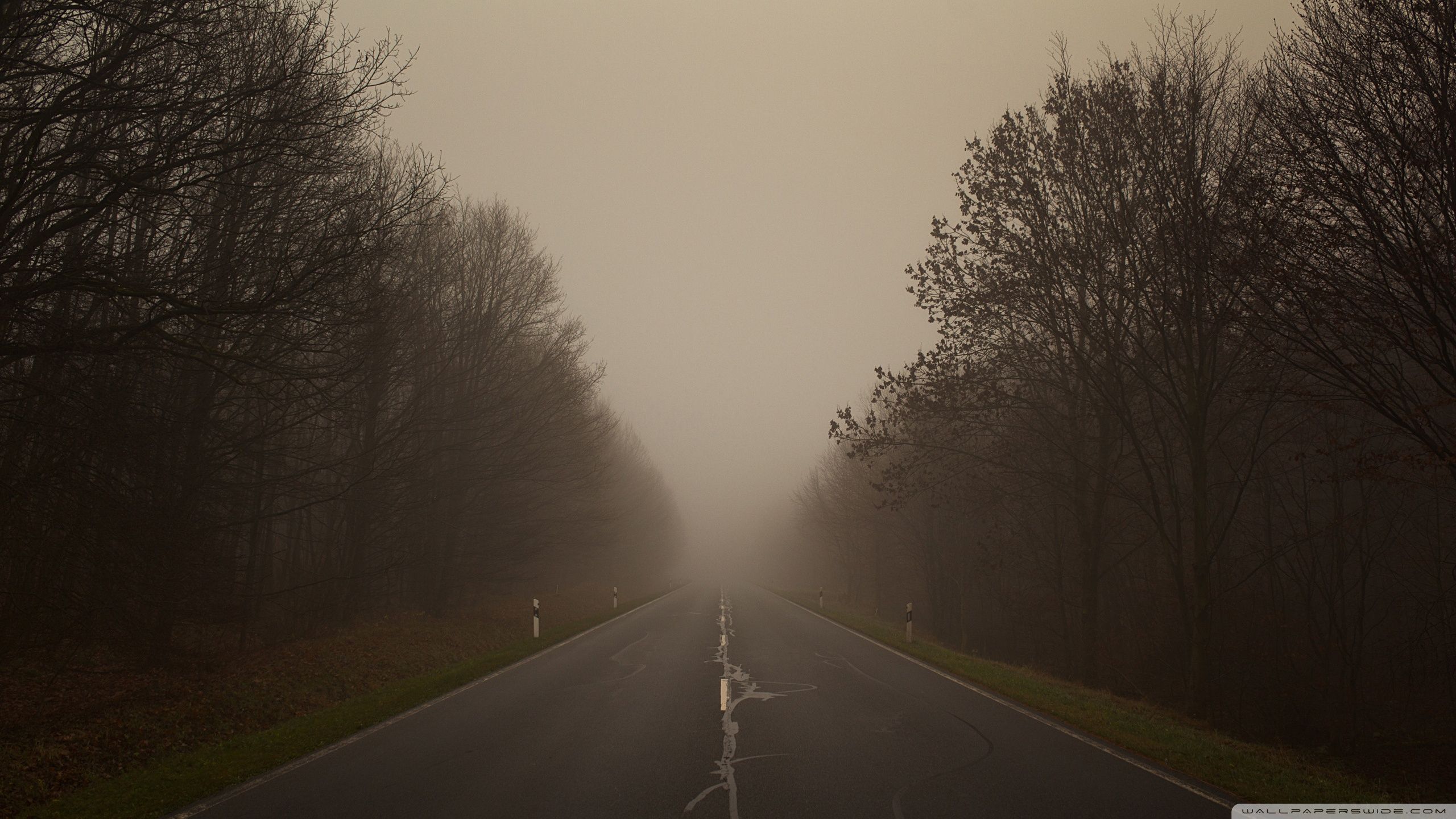 On A Foggy Day Ultra HD Desktop Background Wallpaper for 4K UHD TV, Multi Display, Dual Monitor, Tablet