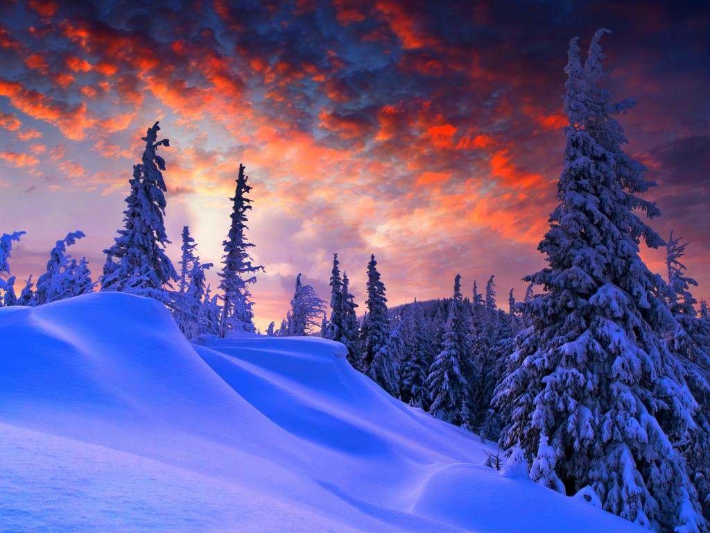 Winter Wallpaper 1024x768