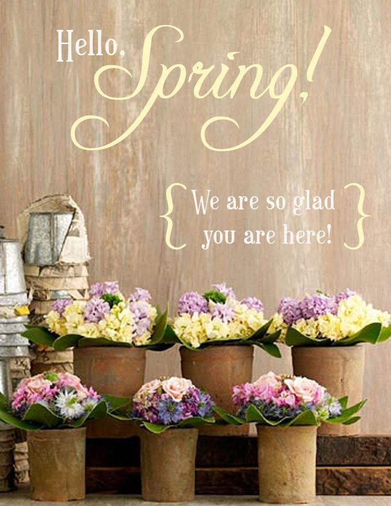 Hello, Spring! (large). Hello spring quotes, Hello march, Hello spring