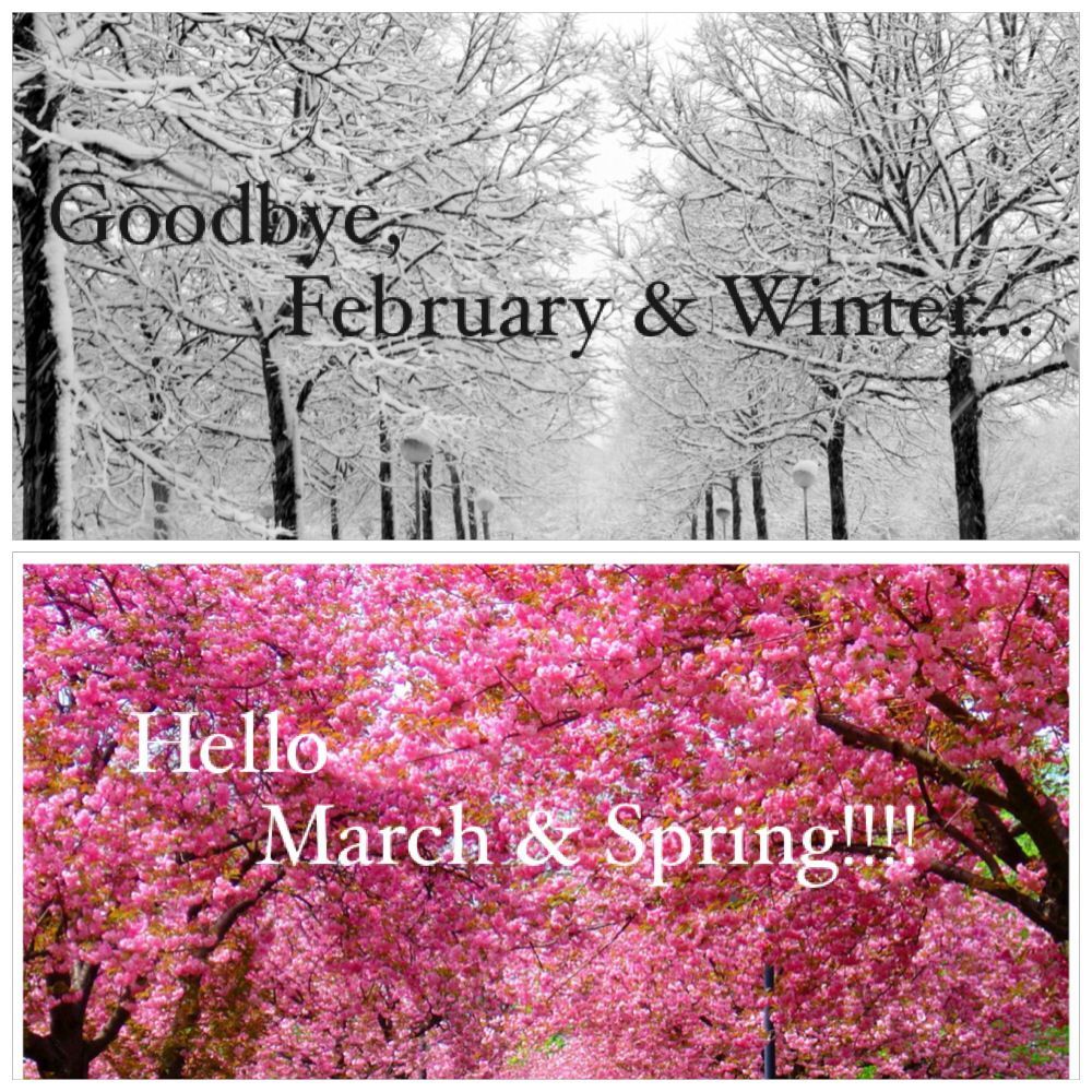 Goodbye February & Winter.Hello March & Spring!!!! #winter #spring. Hello march, March quotes, February quotes