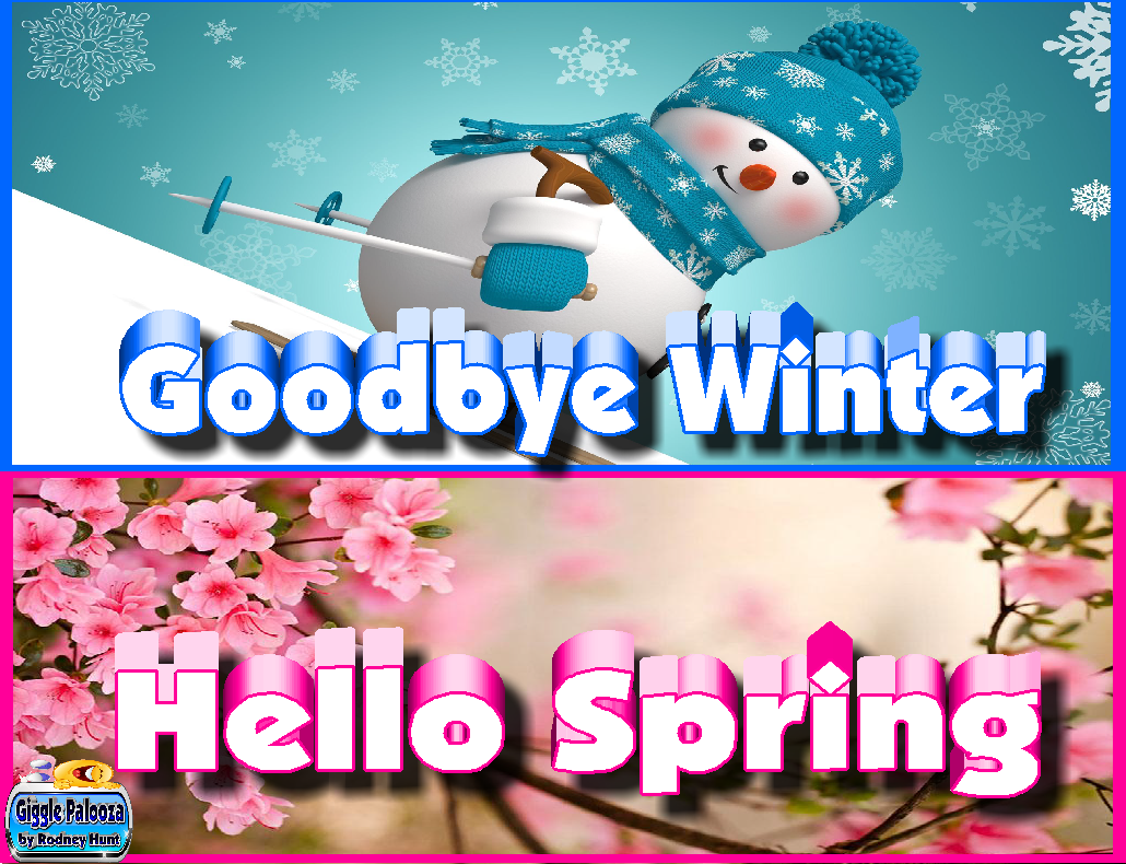 Goodbye Winter Hello Spring Flowers
