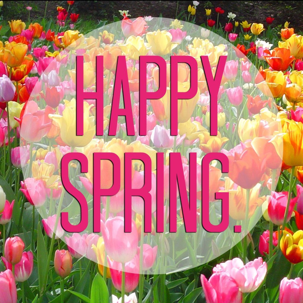 Happy Spring! Is Honey. Happy spring day, Spring image, Happy spring