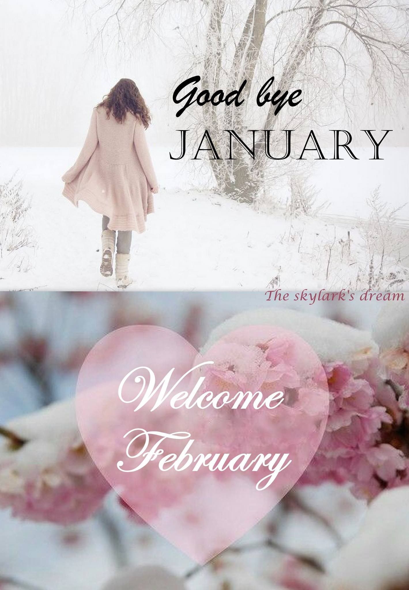 Goodbye January.Welcome February! ❤. Welcome february, Hello february quotes, Hello january