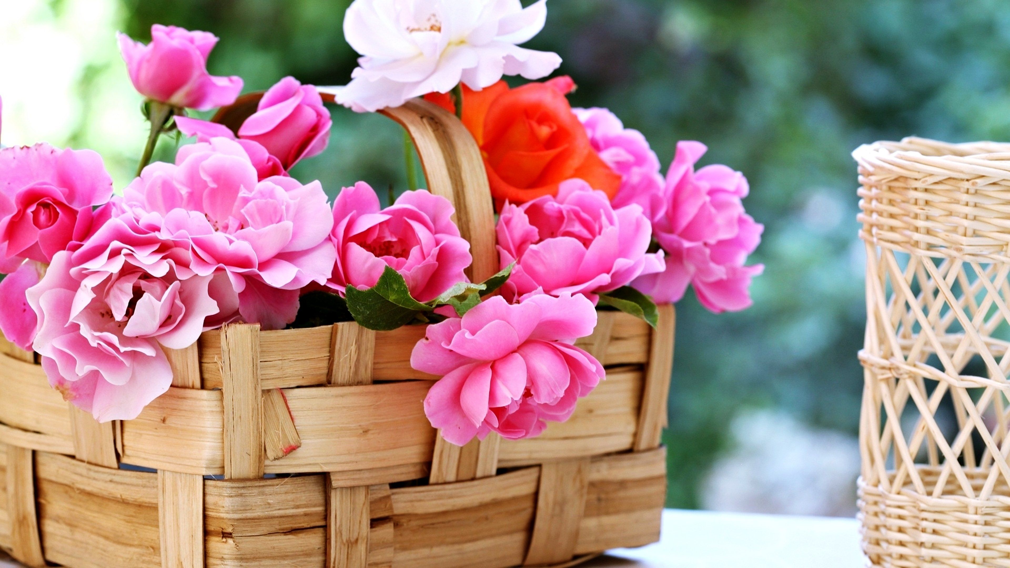 Wallpaper, 3840x2160 px, basket, beauty, emotions, flowers, gardens, life, love, nature, romance, roses, spring 3840x2160