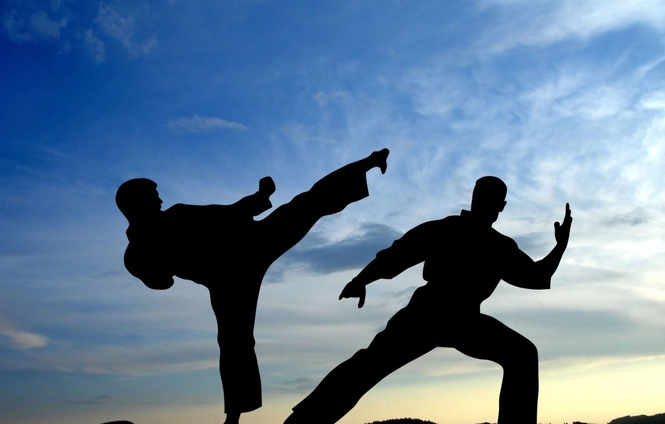 Wallpaper The sky, Sport, Battle, Wallpaper, Shadows, Blow, Fighters, The fight, Silhouette, Martial arts, Karate image for desktop, section спорт
