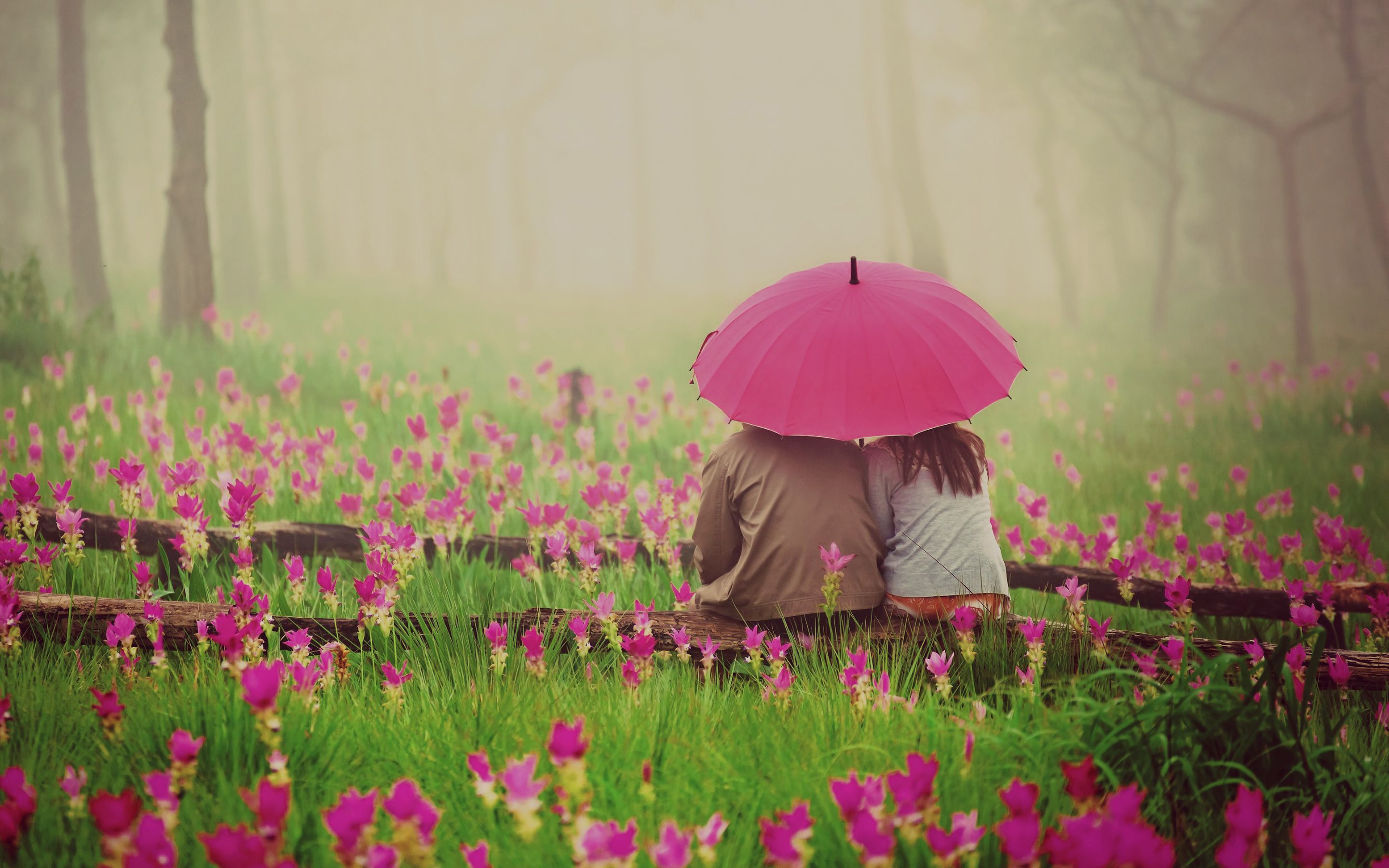 Free download Romantic Couple Under Umbrella Wallpaper [2880x1800] for your Desktop, Mobile & Tablet. Explore Romantic Couple Wallpaper. Love Couples Wallpaper, Cute Romantic Wallpaper, Romantic Wallpaper of Lovers