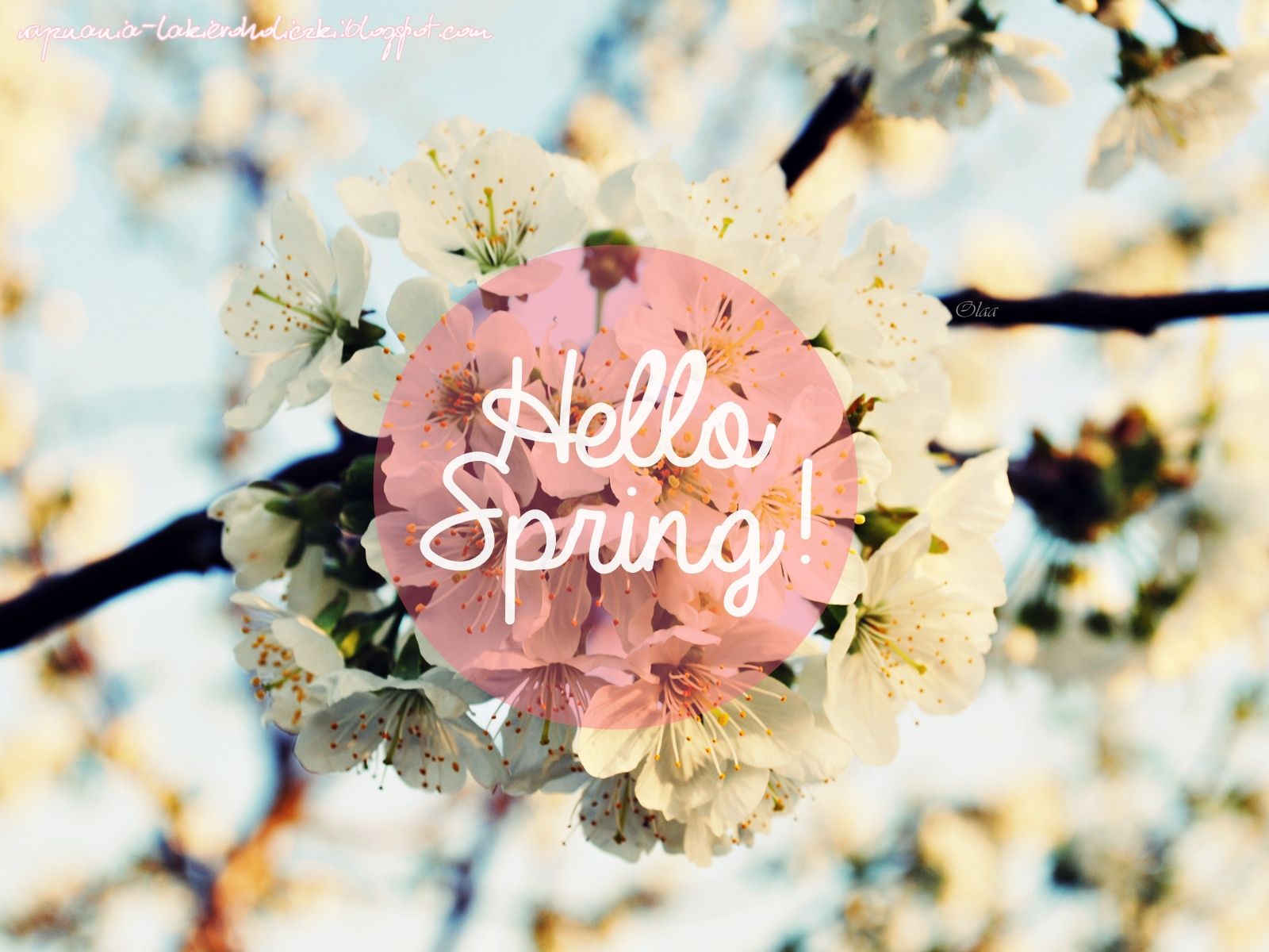 Hello Spring Wallpaper