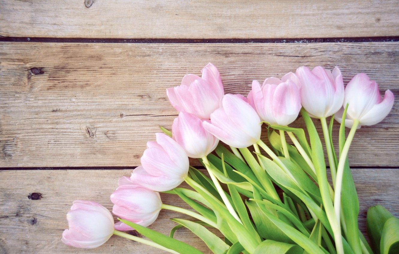 Wallpaper flowers, bouquet, tulips, wood, pink, romantic, tulips, spring, pink tulips image for desktop, section цветы