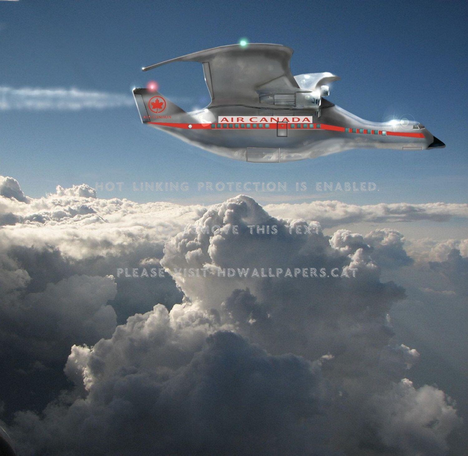 air canada airplane goose sky clouds