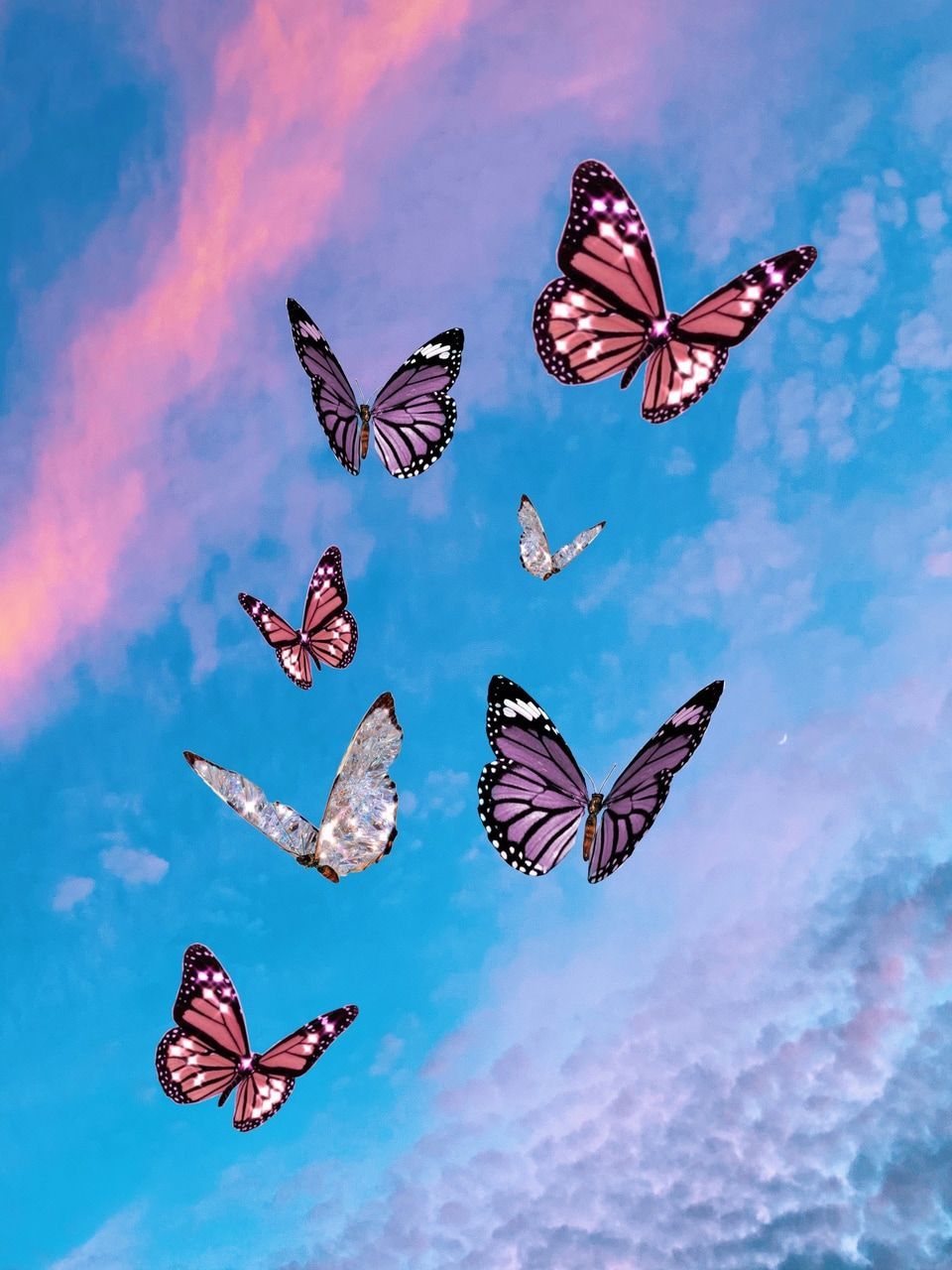Butterfly At Sunset Wallpapers - Wallpaper Cave