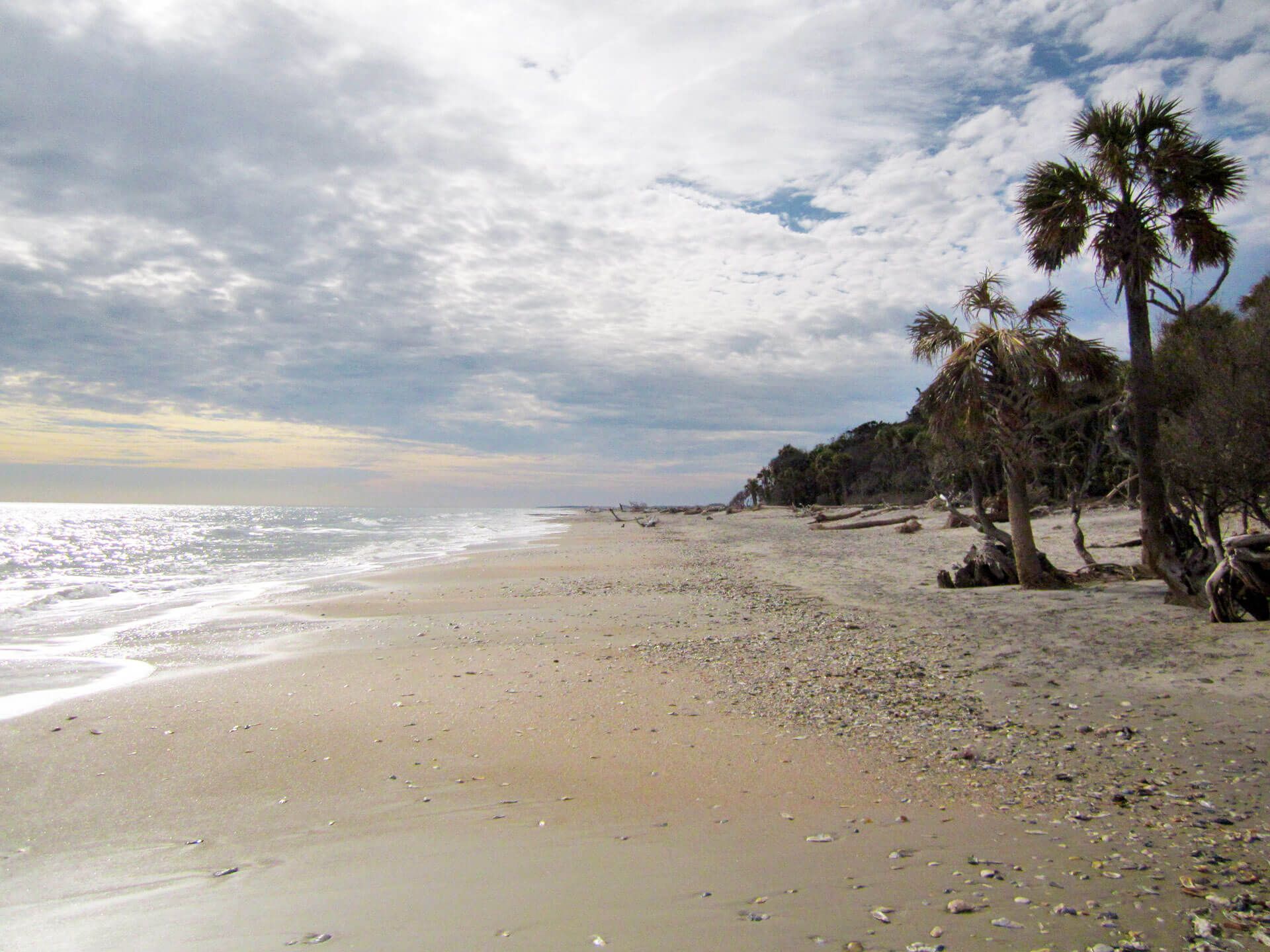 Edisto Island the Best Fishing Spots