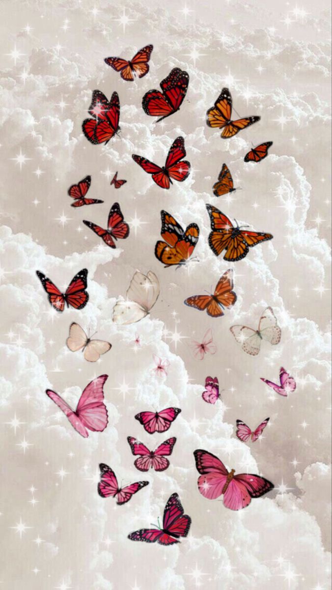 subtle lesbian pride wallpaper <3. Butterfly wallpaper, Aesthetic iphone wallpaper, iPhone background wallpaper