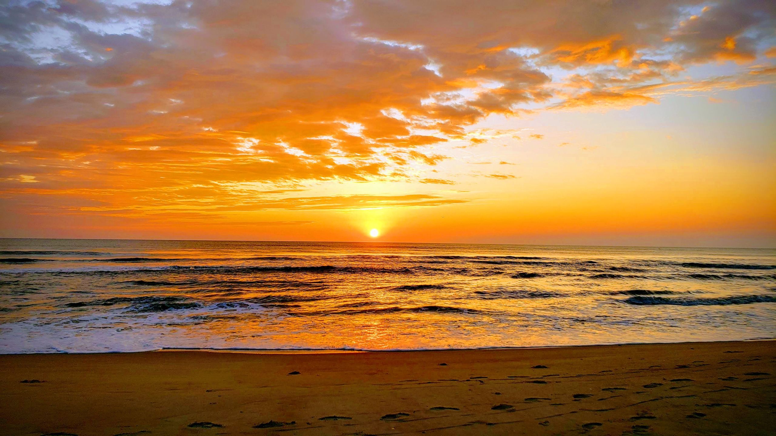 Edisto Island, SC and Edisto Beach, SC Information and Homes. Charleston Property Group