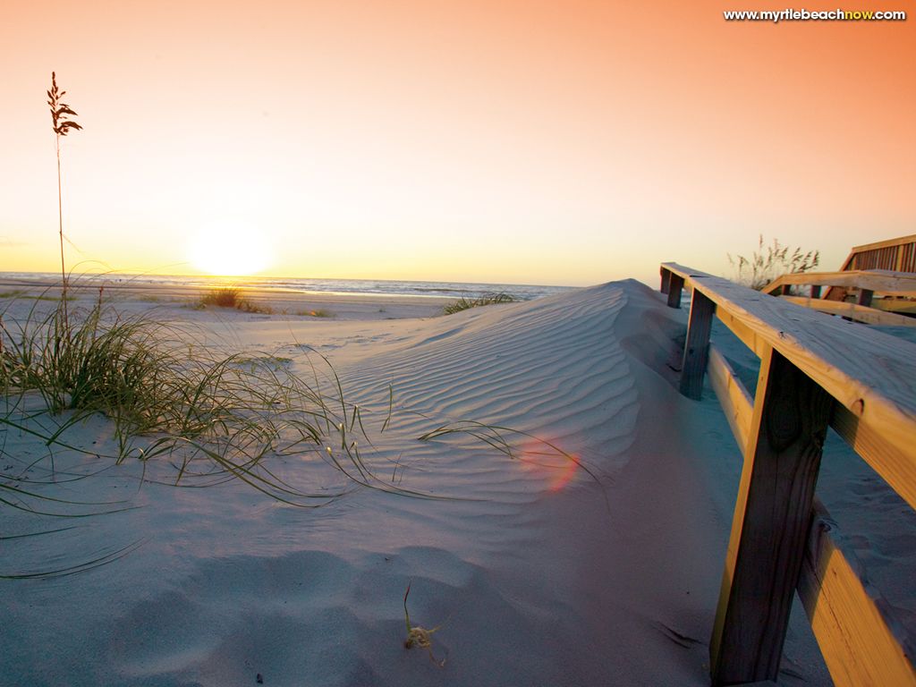 Free download Myrtle Beach HD wallpaper Beaches wallpaper [1024x768] for your Desktop, Mobile & Tablet. Explore South Carolina Wallpaper for Desktop. University Of South Carolina Wallpaper, Gamecock Wallpaper for Computer