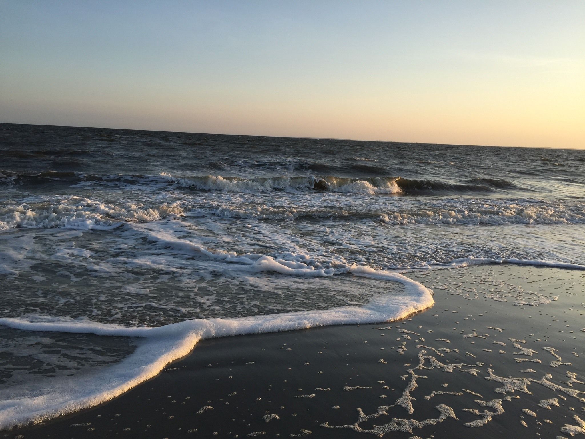 Swimming off Edisto