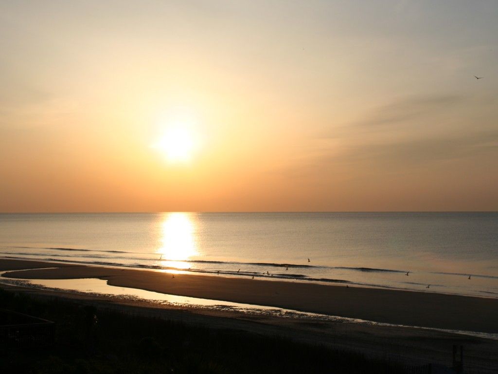 South Carolina Wallpaper for Desktop