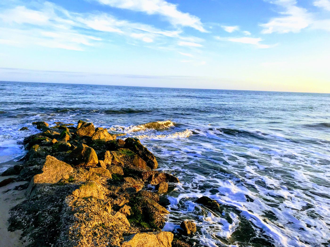 Botany Bay Plantation