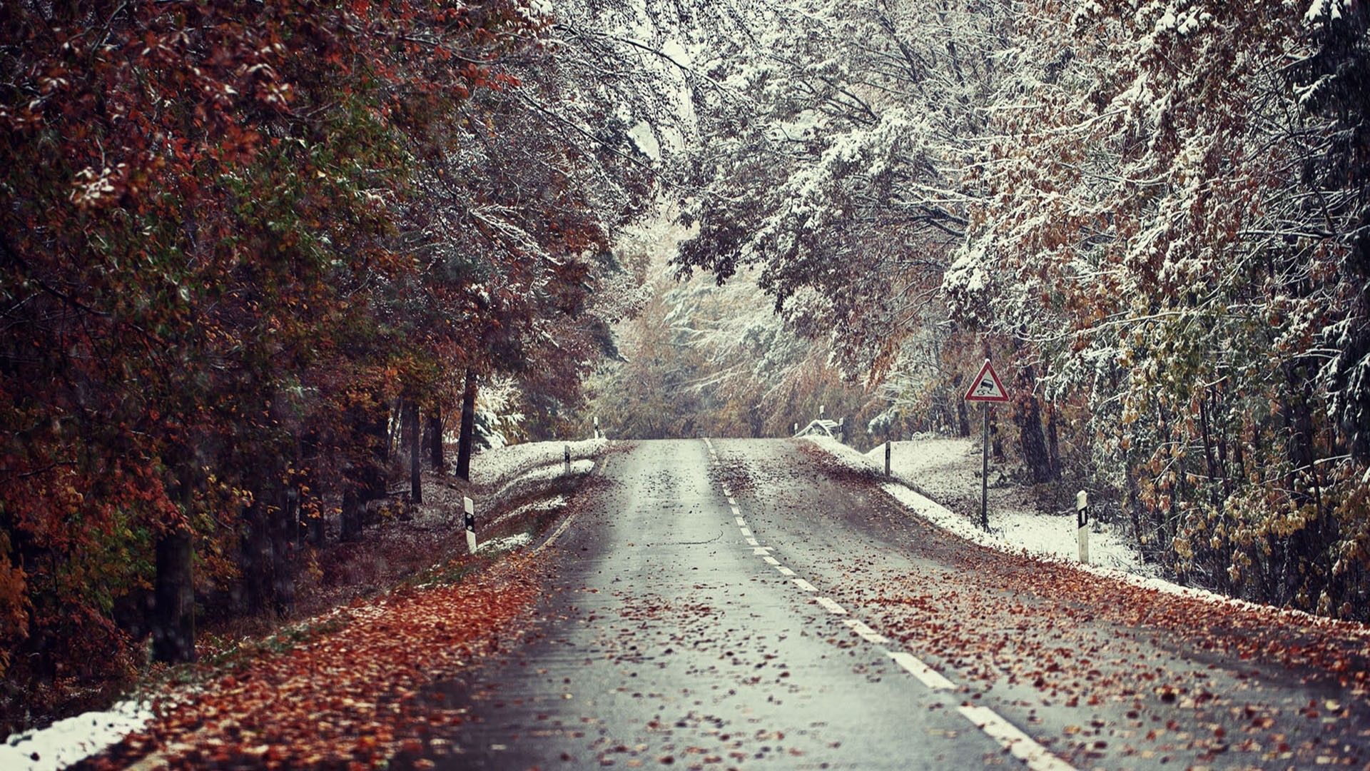 Meeting of winter and autumn by the roadside wallpaper and image, picture, photo