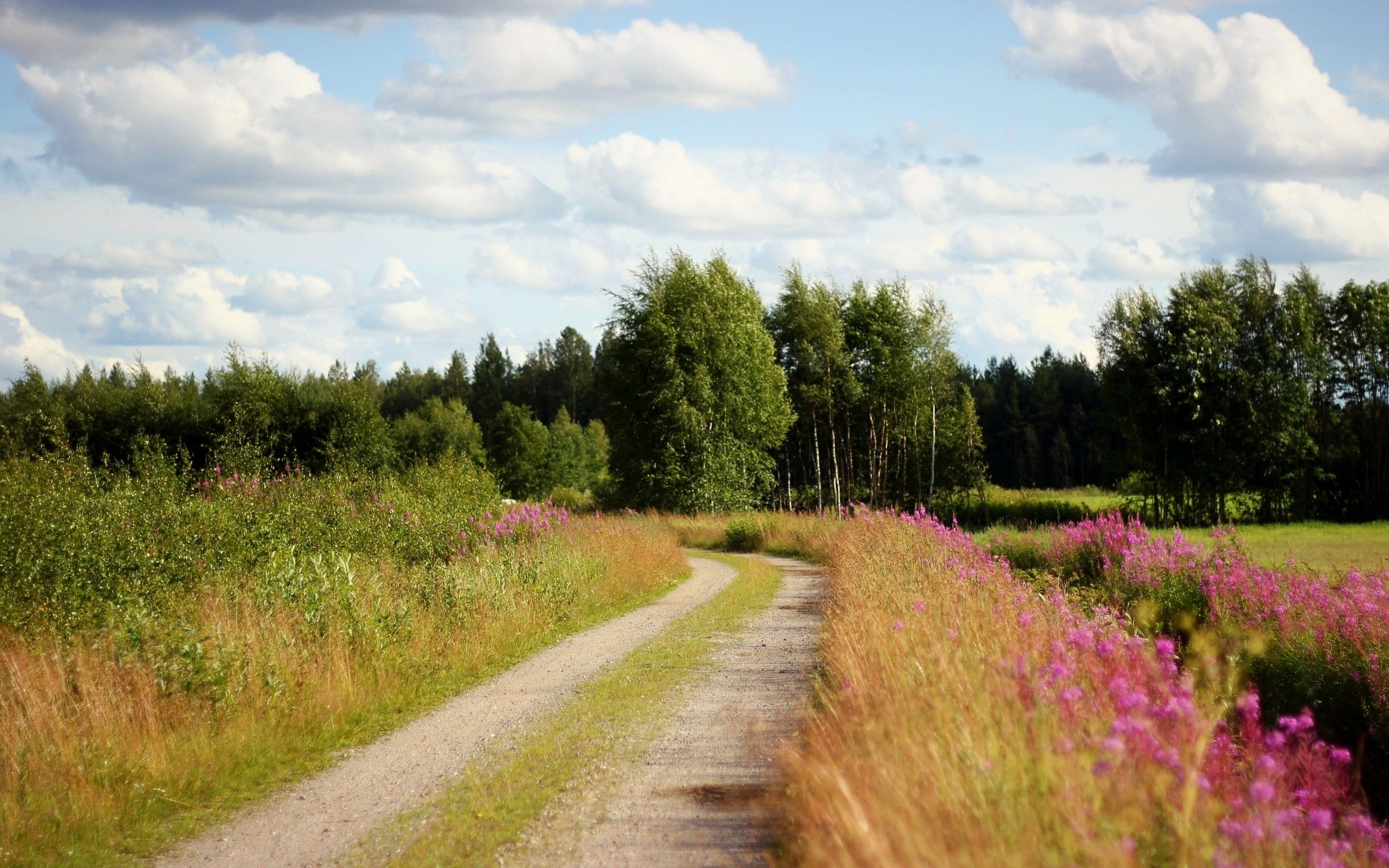 Road, Country, Trees, Flowers, Roadside, Sky, Clouds wallpaper