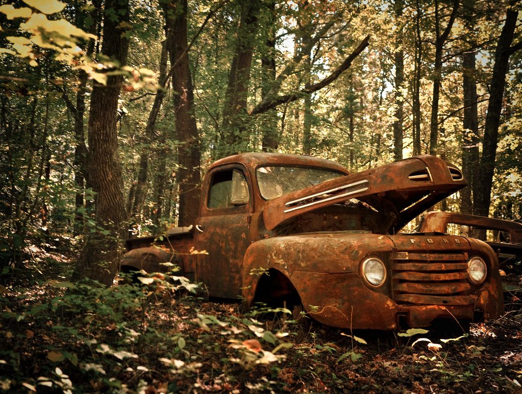 Wallpaper, forest, white, old, city, car, abandoned, wood, mud, rust, dirt, vintage, wilderness, bucket, Ford, decay, Georgia, nostalgic, Truck, Jeep, rural, light, pickup, rusty, tree, autumn, junkyard, county, the, woods, roads