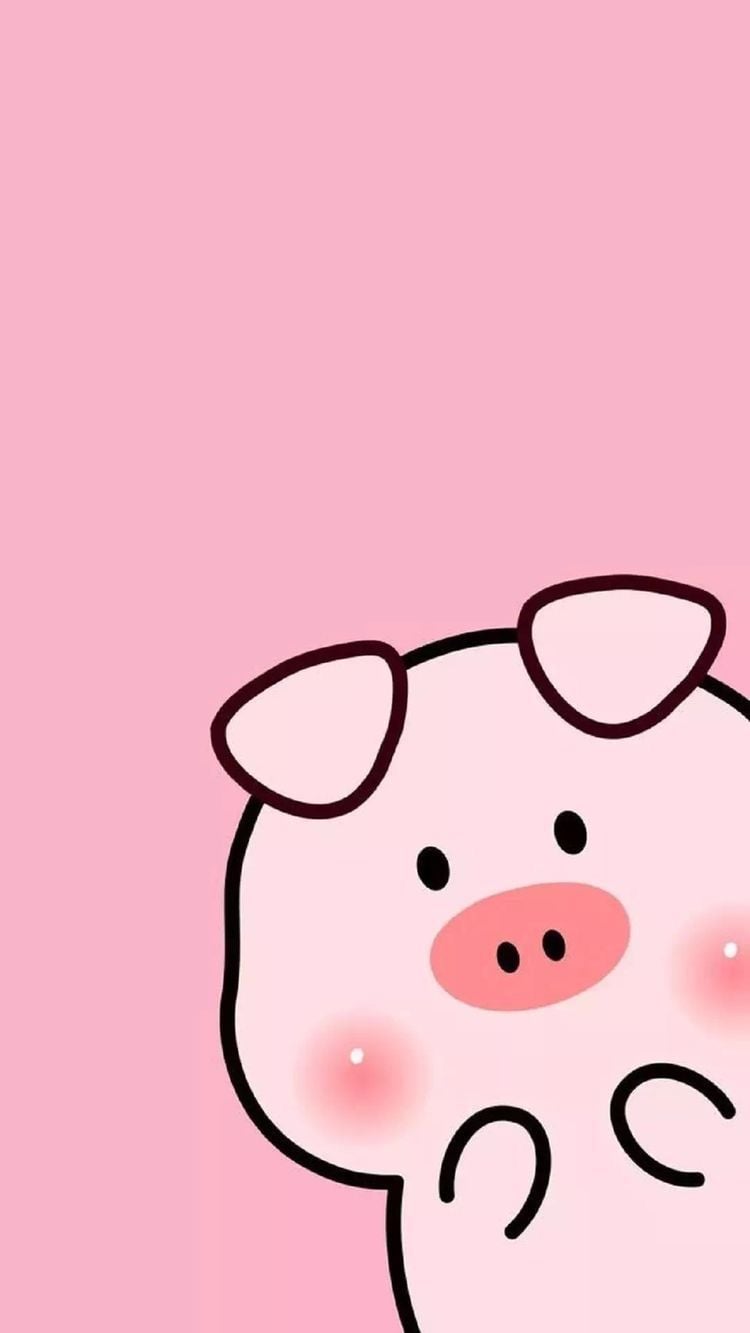 Cute Pig iPhone Wallpaper Free Cute Pig iPhone Background