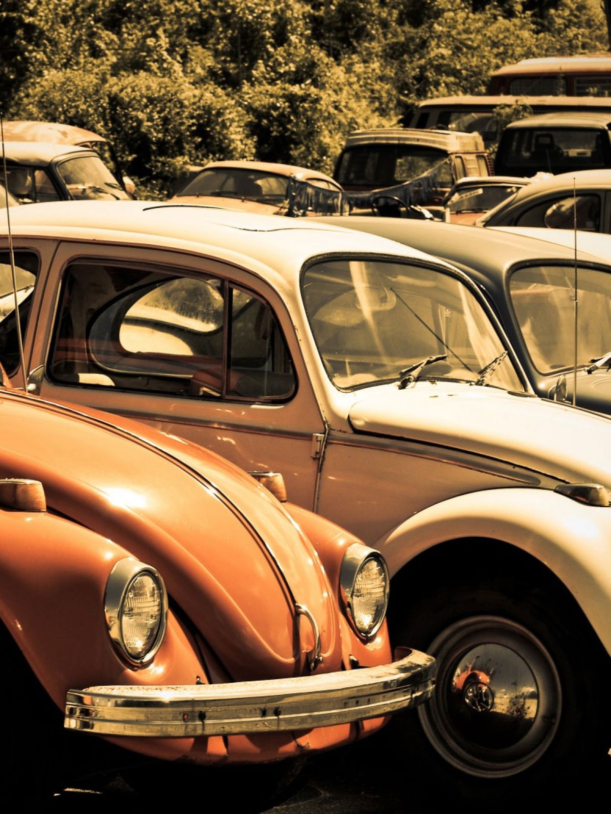 Old Volkswagen Beetle Junkyard Mobile Wallpaper