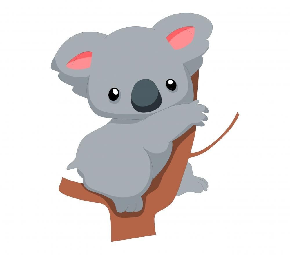 Search results for: 'cartoons set'. Koala drawing, Koala illustration, Baby koala