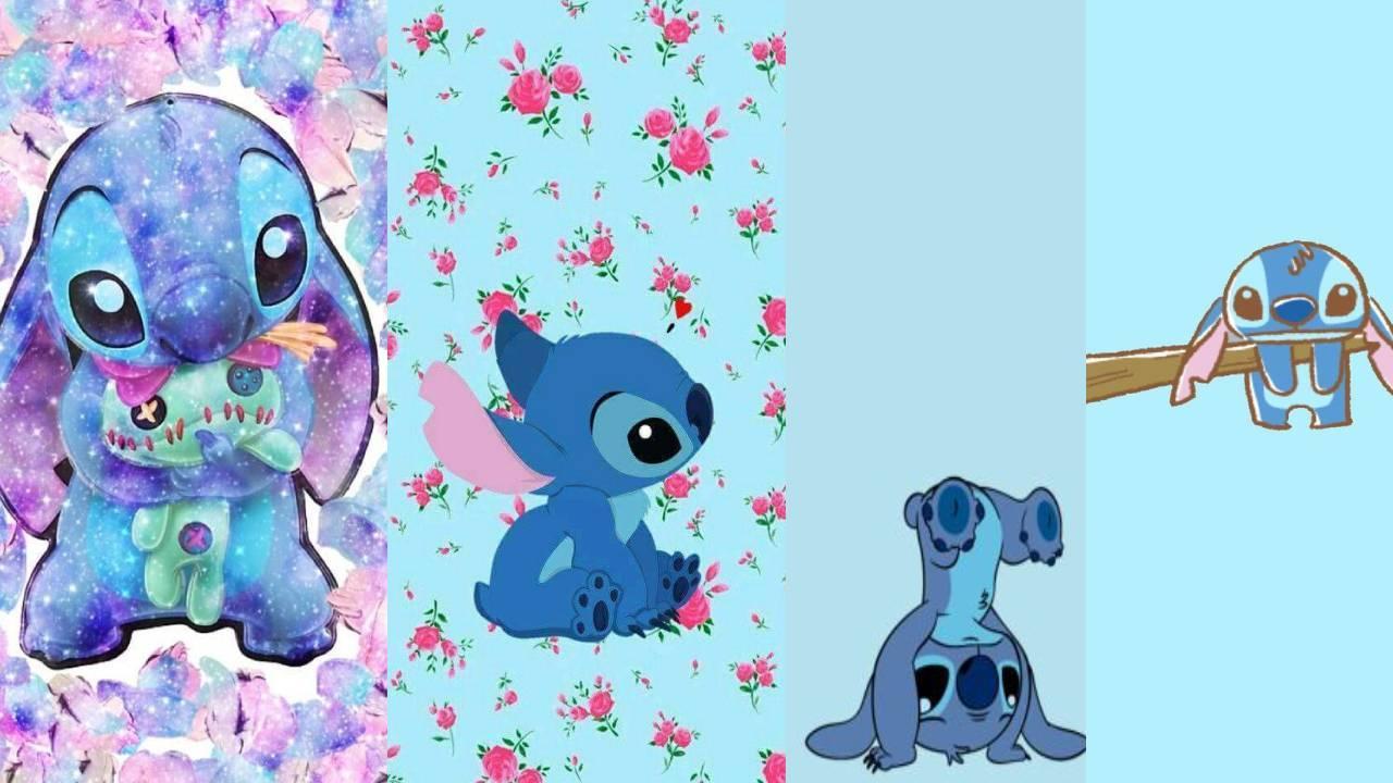 cute blue koala wallpaper APK