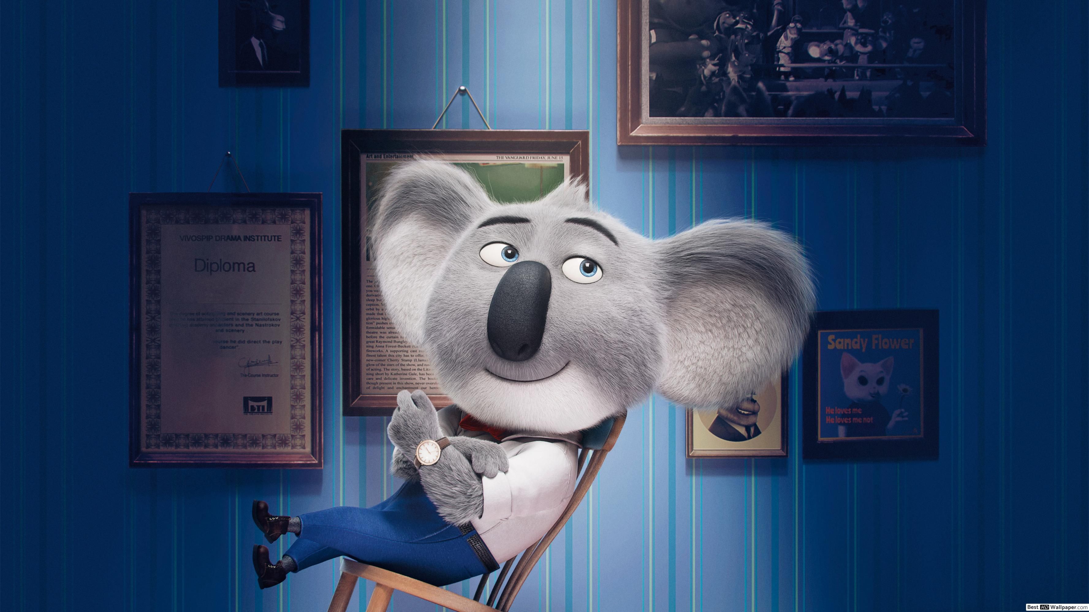 Movie Cartoon Koala Bear Wallpaper & Background Download
