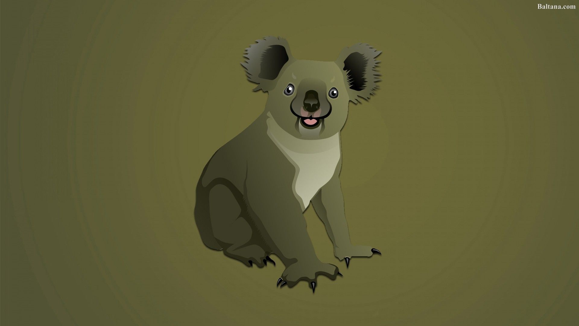 Koala Wallpaper background picture