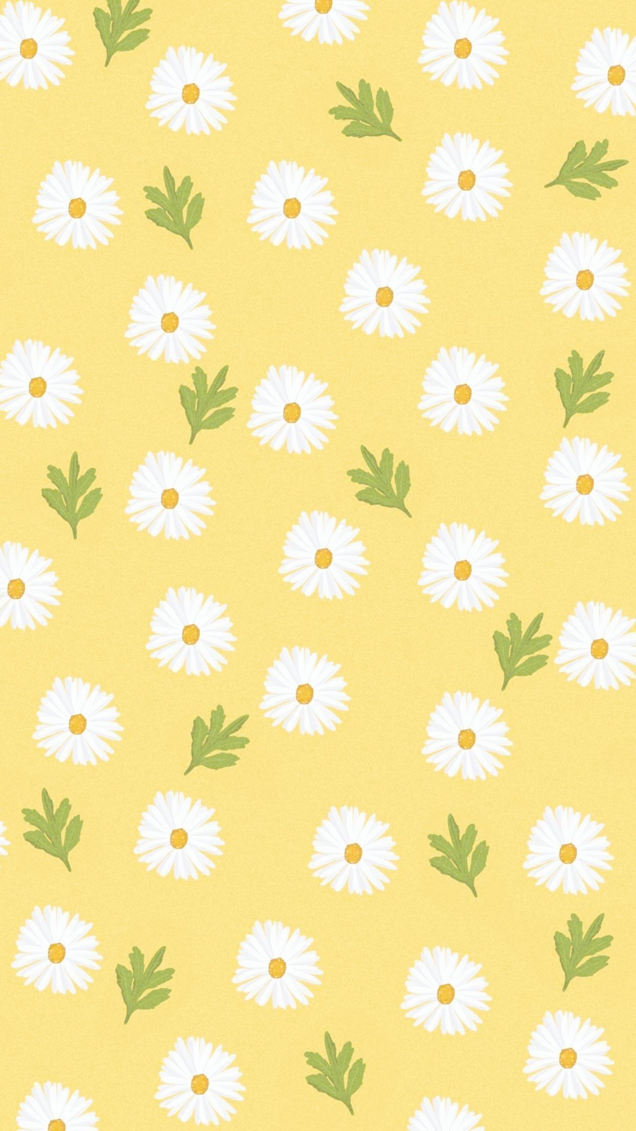 Daisies wallpaper iPhone#daisies #iphone #wallpaper#daisies #iphone #iphonedaisi.#daisies #iphone #i. Daisy wallpaper, Yellow wallpaper, Cute patterns wallpaper