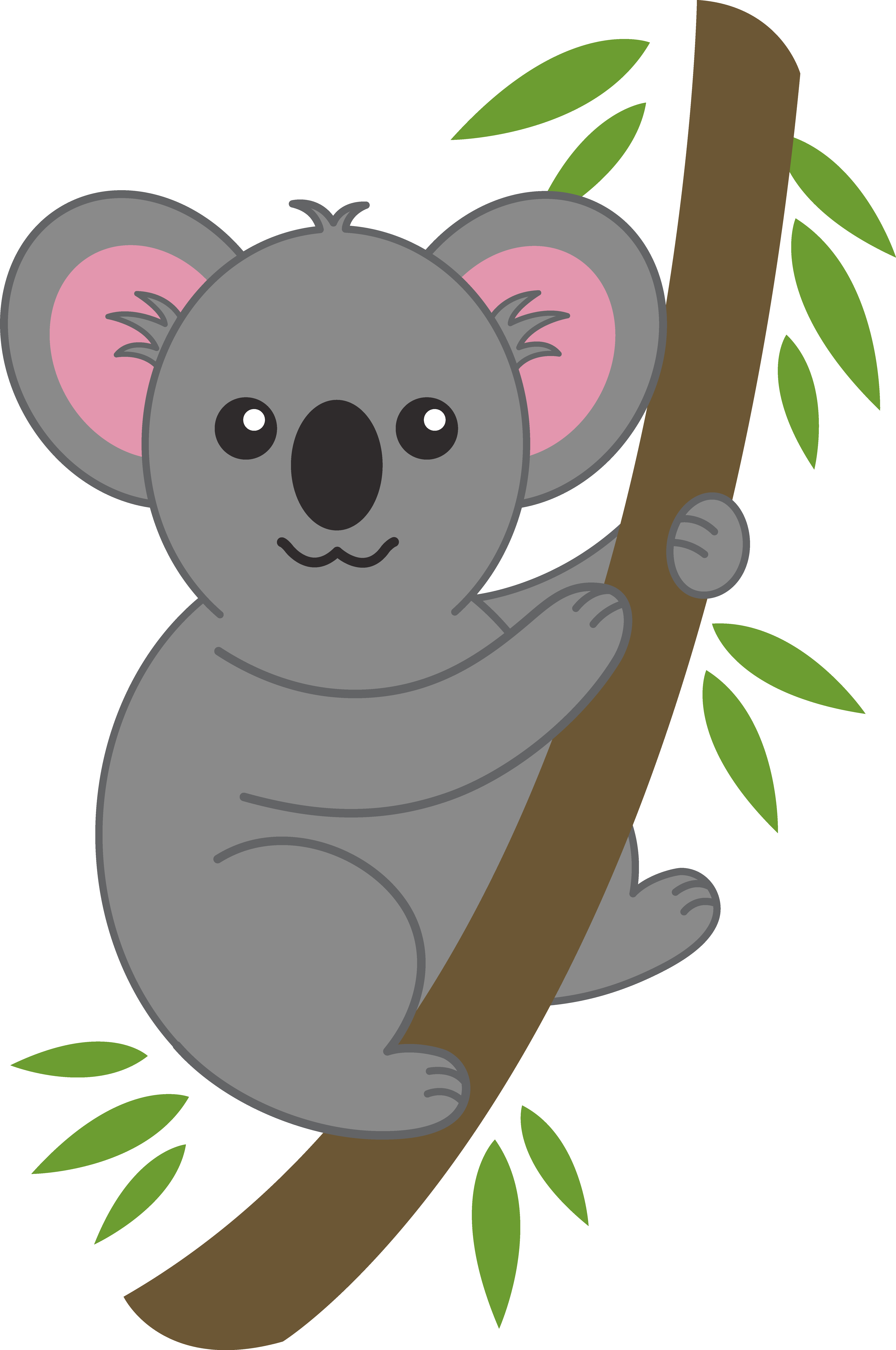 Free Cartoon Koala Picture, Download Free Clip Art, Free Clip Art on Clipart Library
