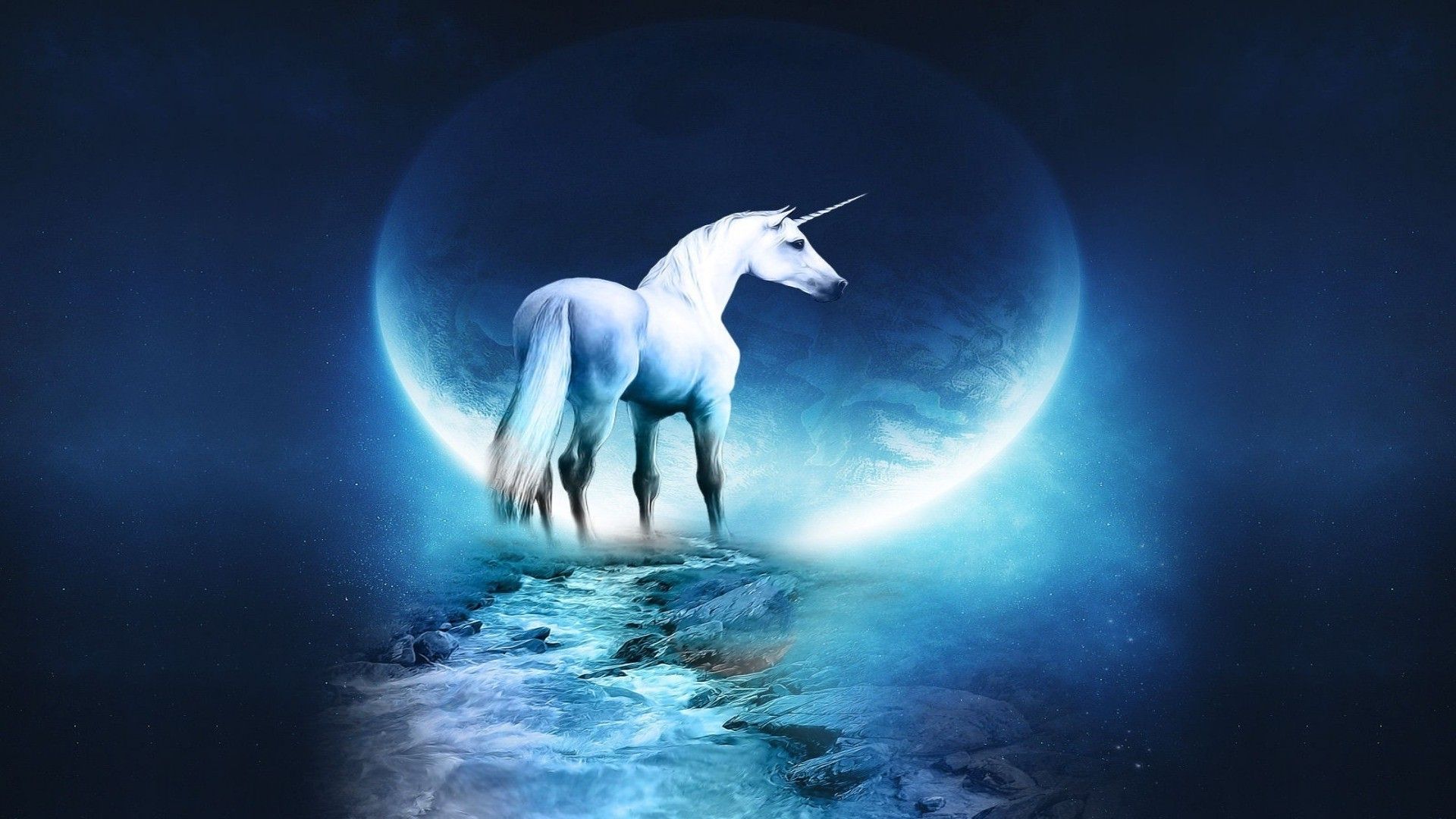 Unicorn in the moonlight