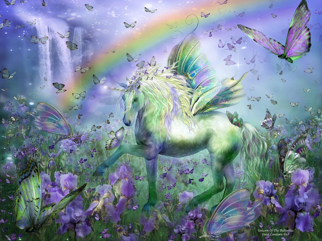 Unicorn Of The Butterflies Yorkshire Rose Wallpaper Wallpaper Unicorn HD Wallpaper