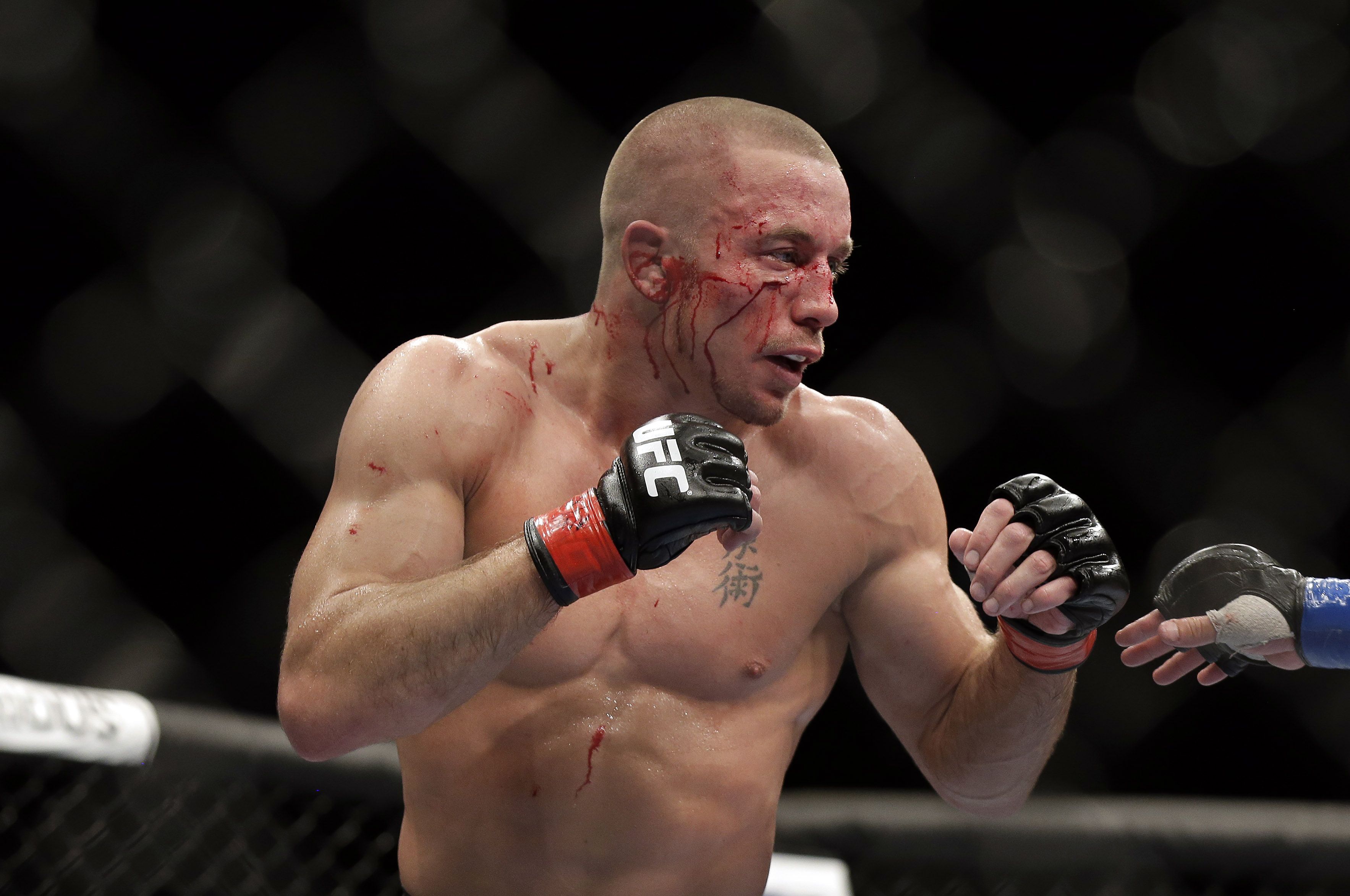 Georges St. Pierre Wallpaper. Pierre Brooklyn Wallpaper, Jason Pierre Paul Wallpaper And Pierre United States Wallpaper