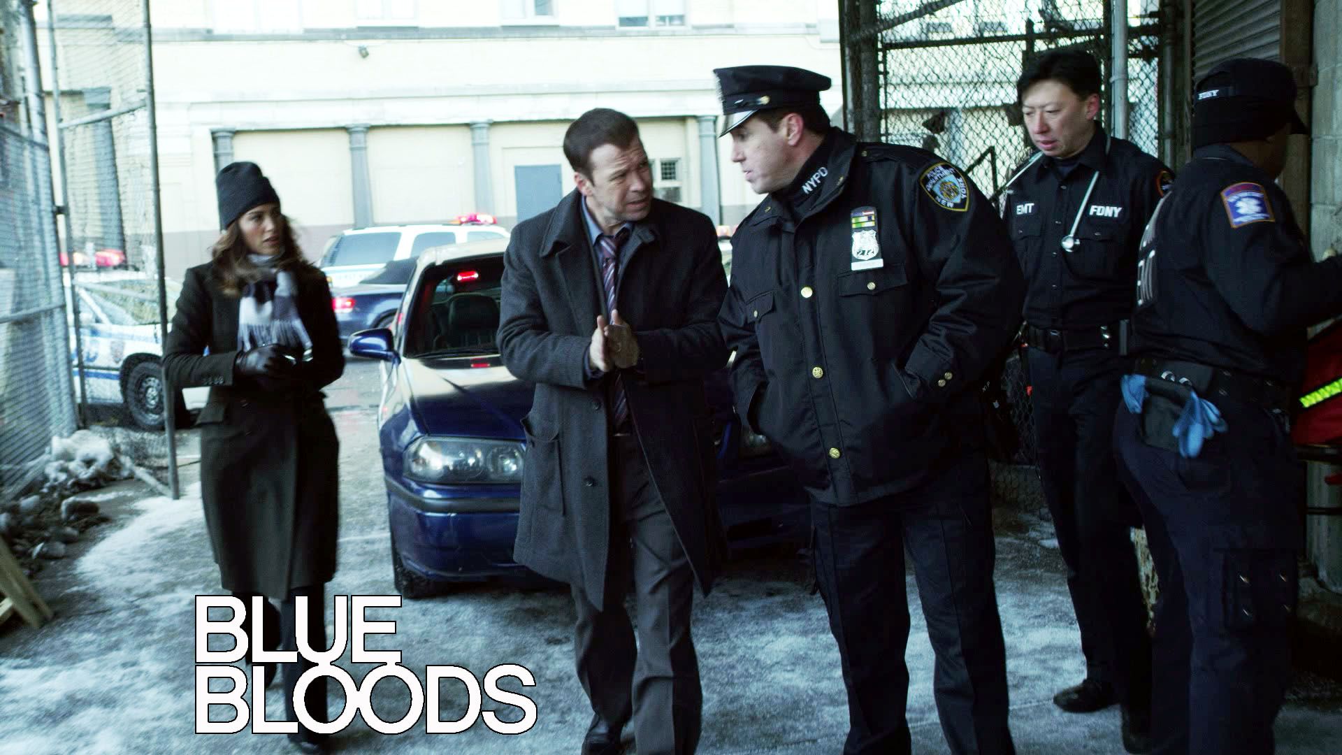 Blue Bloods Danny Reagan