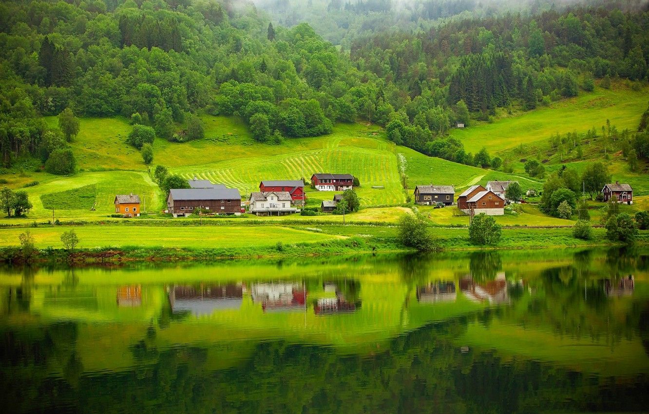 Wallpaper summer, trees, lake, home, slope, Norway image for desktop, section пейзажи